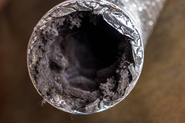 Best Best Air Duct Cleaning Company  in Eerlin, ND