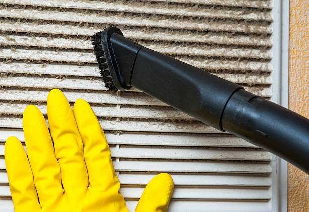 Best Home Air Vent Cleaning  in Eerlin, ND